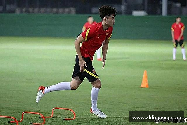 介绍Bsport手机版